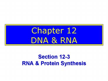 Chapter 12 DNA