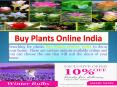 Complete Gardening Solution at One Place PowerPoint PPT Presentation