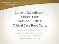 Current Guidelines in Critical Care Session 1: 2014 Critical Care Boot Camp PowerPoint PPT Presentation