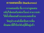 ?????????? (backcross)