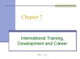 International Training, Development and Career PowerPoint PPT Presentation