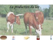 La production du lait