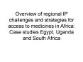 Overview of regional IP challenges and strategies for access to medicines in Africa: Case studies Egypt, Uganda and South Africa PowerPoint PPT Presentation