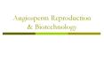 Angiosperm Reproduction PowerPoint PPT Presentation