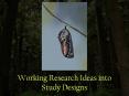 Working Research Ideas into Study Designs PowerPoint PPT Presentation
