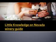 Little Knowledge on Nevada winery guide