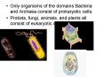 Only organisms of the domains Bacteria and Archaea consist of prokaryotic cells. PowerPoint PPT Presentation