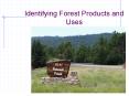 Identifying Forest Products and Uses PowerPoint PPT Presentation