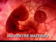 No Ventre Materno