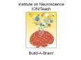 Institute on Neuroscience PowerPoint PPT Presentation