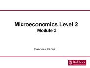 Microeconomics Level 2 