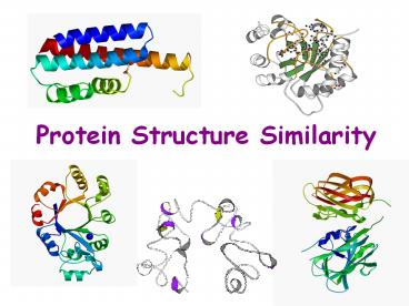 Protein Structure Similarity
