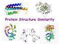 Protein Structure Similarity PowerPoint PPT Presentation