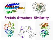 Protein Structure Similarity