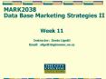 MARKETING  STRATEGY PowerPoint PPT Presentation