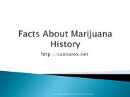 Facts about Marijuana  History