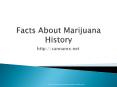 Facts about Marijuana  History (1) PowerPoint PPT Presentation