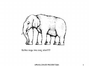 Koliko nogu ima ovaj slon???