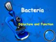 Bacteria PowerPoint PPT Presentation