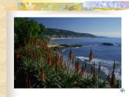 ??????????..?????????????????