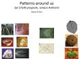 Patterns around us Sat STEM program, Umass Amherst PowerPoint PPT Presentation