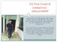 Pest control in Noida, ZX Pest Control offers pest control treatment in Delhi NCR at very affordable prices.