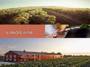 ILLINOIS WINE