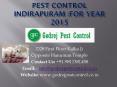 Pest Control Indirapuram | Reliable pest control services PowerPoint PPT Presentation