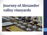 Journey of Alexander valley vineyards
