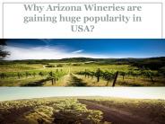 Arizona Wineries