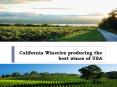 California Wineries PowerPoint PPT Presentation