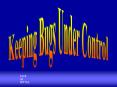 Keeping Bugs Under Control PowerPoint PPT Presentation