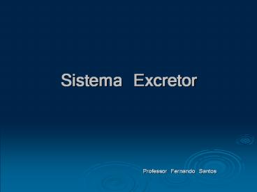 Sistema Excretor