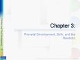 Prenatal Development, Birth, and the Newborn PowerPoint PPT Presentation
