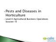 Pests and Diseases in Horticulture PowerPoint PPT Presentation