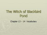 The Witch of Blackbird Pond