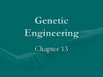 Genetic Engineering PowerPoint PPT Presentation