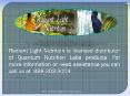 Quantum Nutrition Supplements For Your Radiant Health PowerPoint PPT Presentation