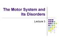 The Motor System and Its Disorders PowerPoint PPT Presentation