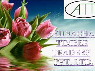 Choose the Best Pinewood Manufacturers in India