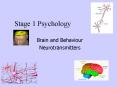 Stage 1 Psychology PowerPoint PPT Presentation