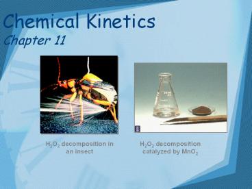 Chemical Kinetics Chapter 11