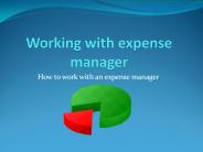 How to work with an expense manager