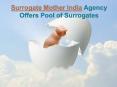Medical and Nutritional Care of Surrogate Mothers India-indiahospitaltour.com PowerPoint PPT Presentation