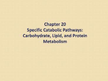 Chapter 20 Specific Catabolic Pathways: Carbohydrate, Lipid, and Protein Metabolism