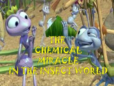 THE  CHEMICAL  MIRACLE  IN THE INSECT WORLD