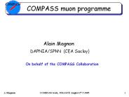 COMPASS muon programme
