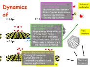 Dynamics  of irradiated clusters and molecules