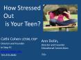 How Stressed Out is Your Teen? PowerPoint PPT Presentation