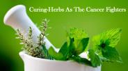 Curing-Herbs As The Cancer Fighters